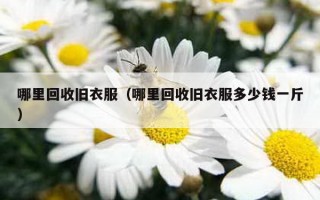 哪里回收旧衣服（哪里回收旧衣服多少钱一斤）