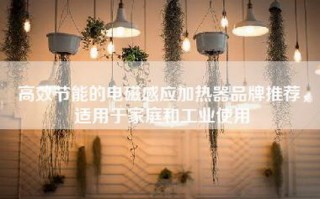 高效节能的电磁感应加热器品牌推荐，适用于家庭和工业使用