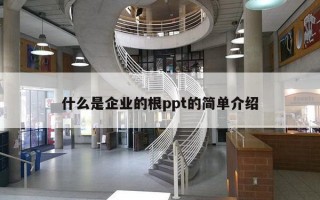 什么是企业的根ppt的简单介绍