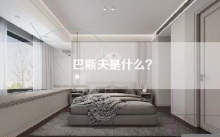 巴斯夫是什么？