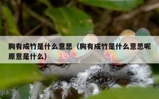 胸有成竹是什么意思（胸有成竹是什么意思呢原意是什么）