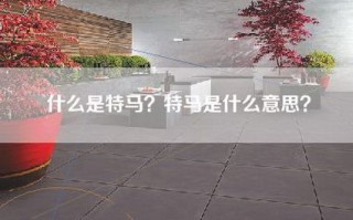 什么是特马？特马是什么意思？