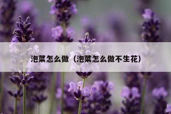 泡菜怎么做（泡菜怎么做不生花）-第1张图片