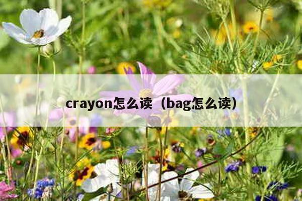 crayon怎么读（bag怎么读）-第1张图片