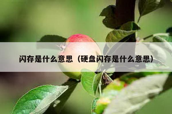 闪存是什么意思（硬盘闪存是什么意思）-第1张图片