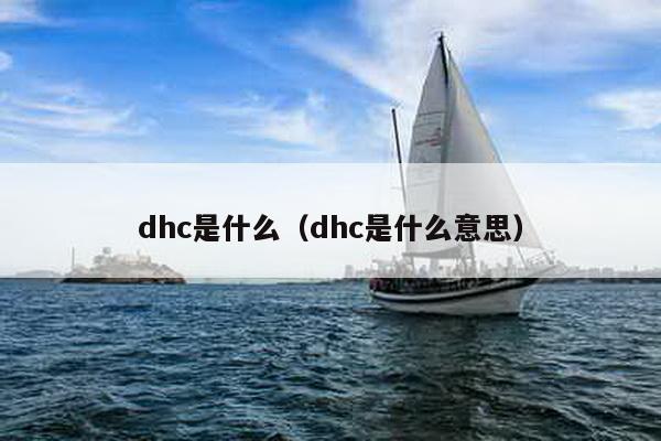 dhc是什么（dhc是什么意思）-第1张图片