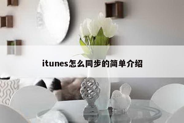 itunes怎么同步的简单介绍-第1张图片