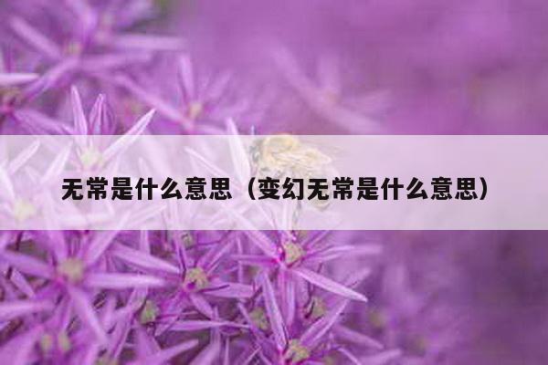 无常是什么意思（变幻无常是什么意思）-第1张图片