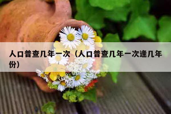 人口普查几年一次（人口普查几年一次逢几年份）-第1张图片