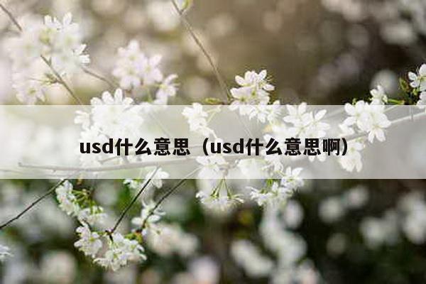 usd什么意思（usd什么意思啊）-第1张图片