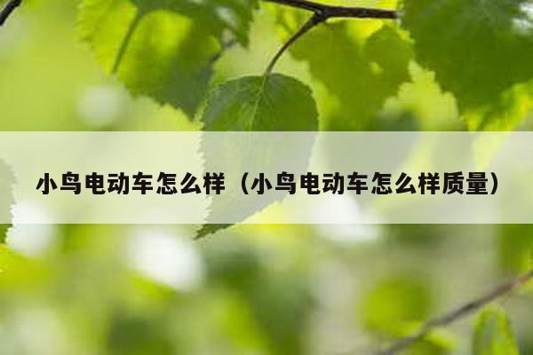 小鸟电动车怎么样（小鸟电动车怎么样质量）-第1张图片