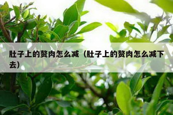 肚子上的赘肉怎么减（肚子上的赘肉怎么减下去）-第1张图片