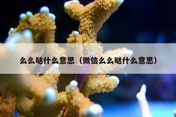 么么哒什么意思（微信么么哒什么意思）-第1张图片