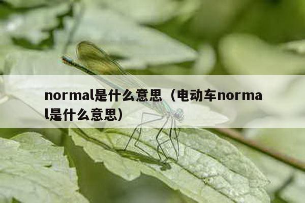 normal是什么意思（电动车normal是什么意思）-第1张图片