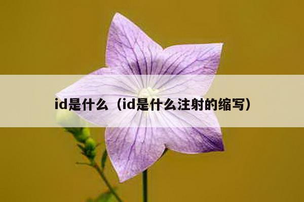 id是什么（id是什么注射的缩写）-第1张图片