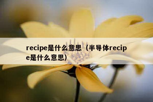 recipe是什么意思（半导体recipe是什么意思）-第1张图片