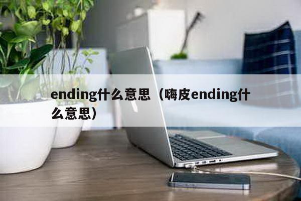 ending什么意思（嗨皮ending什么意思）-第1张图片