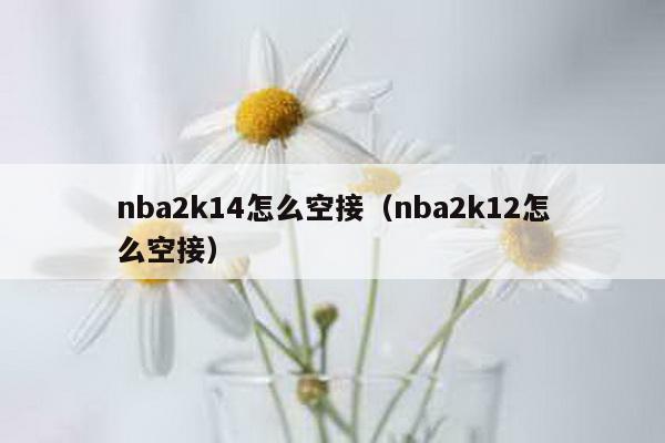 nba2k14怎么空接（nba2k12怎么空接）-第1张图片