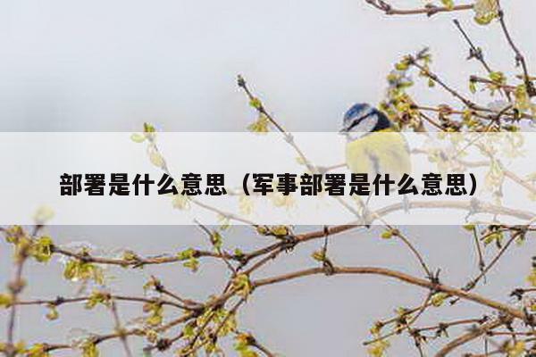 部署是什么意思（军事部署是什么意思）-第1张图片