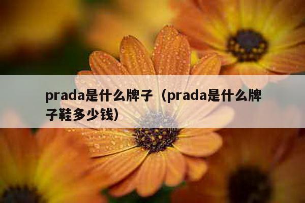 prada是什么牌子（prada是什么牌子鞋多少钱）-第1张图片