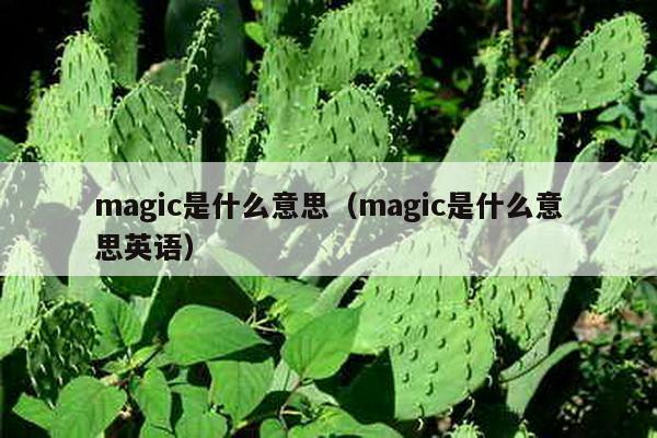 magic是什么意思（magic是什么意思英语）-第1张图片