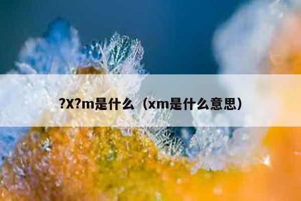 ?X?m是什么（xm是什么意思）-第1张图片