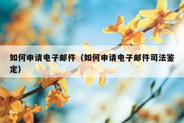 如何申请电子邮件（如何申请电子邮件司法鉴定）-第1张图片