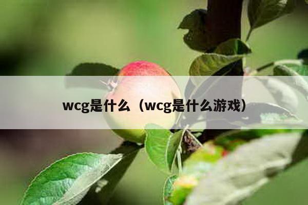 wcg是什么（wcg是什么游戏）-第1张图片