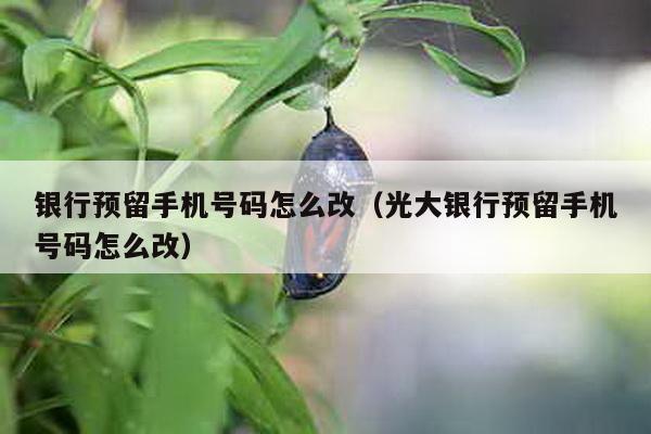 银行预留手机号码怎么改（光大银行预留手机号码怎么改）-第1张图片