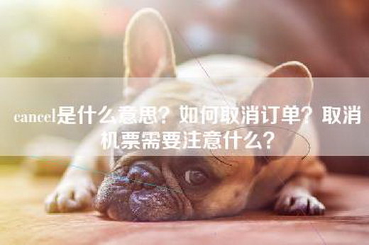 cancel是什么意思？如何取消订单？取消机票需要注意什么？-第1张图片