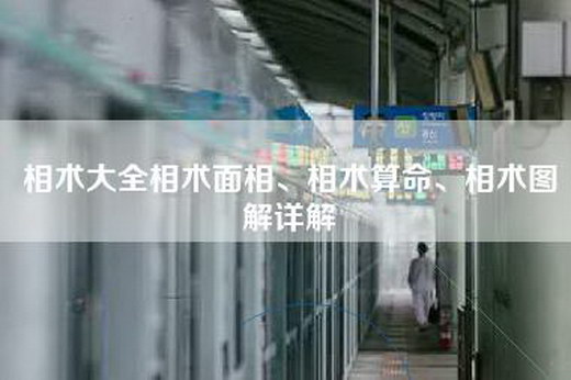 相术大全相术面相、相术算命、相术图解详解-第1张图片