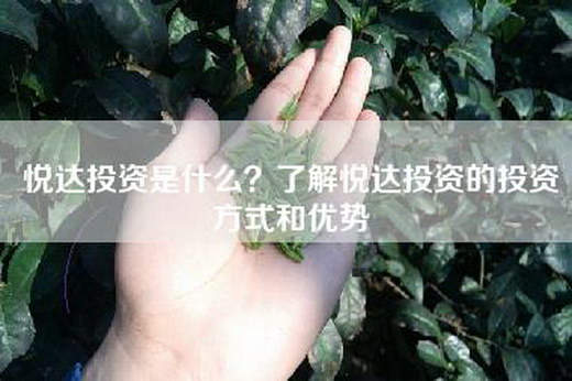 悦达投资是什么？了解悦达投资的投资方式和优势-第1张图片