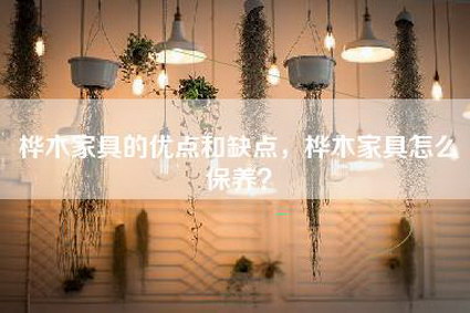 桦木家具的优点和缺点，桦木家具怎么保养？-第1张图片