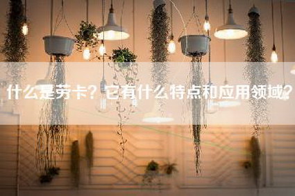 什么是劳卡？它有什么特点和应用领域？-第1张图片