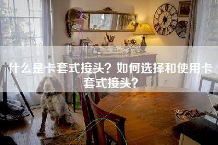 什么是卡套式接头？如何选择和使用卡套式接头？-第1张图片