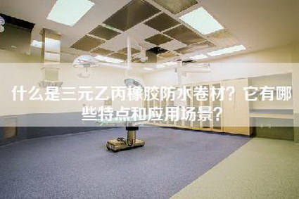 什么是三元乙丙橡胶防水卷材？它有哪些特点和应用场景？-第1张图片