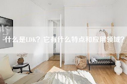 什么是LDK？它有什么特点和应用领域？-第1张图片