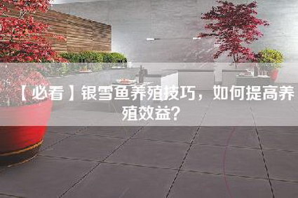 【必看】银雪鱼养殖技巧，如何提高养殖效益？-第1张图片