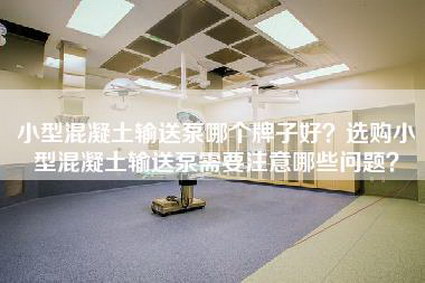 小型混凝土输送泵哪个牌子好？选购小型混凝土输送泵需要注意哪些问题？-第1张图片