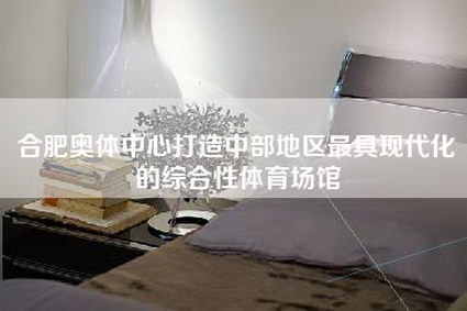 合肥奥体中心打造中部地区最具现代化的综合性体育场馆-第1张图片