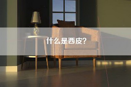 什么是西皮？-第1张图片