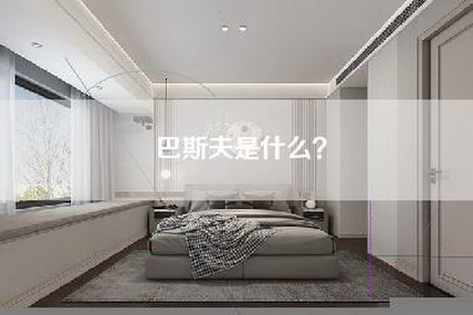 巴斯夫是什么？-第1张图片