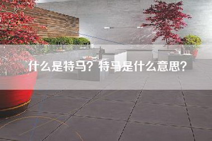 什么是特马？特马是什么意思？-第1张图片