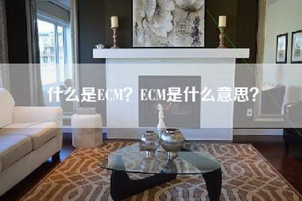 什么是ECM？ECM是什么意思？-第1张图片