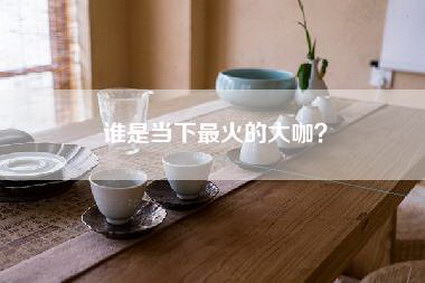 谁是当下最火的大咖？-第1张图片