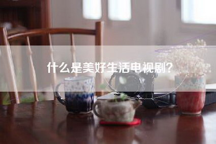 什么是美好生活电视剧？-第1张图片