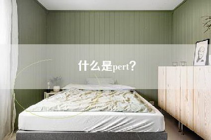 什么是pert？-第1张图片