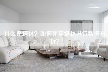 什么是培林？如何使用培林进行数据分析？-第1张图片