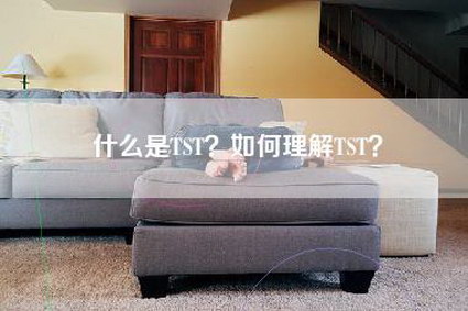 什么是TST？如何理解TST？-第1张图片