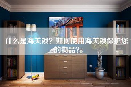 什么是海关锁？如何使用海关锁保护您的物品？-第1张图片